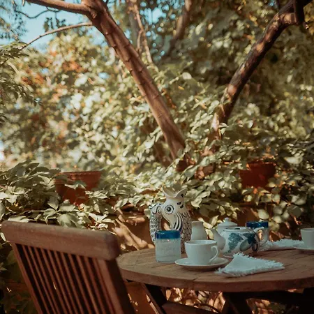 Casa San Rocco - Luxurious Grand 18th C. Palace With Gardens & Pool * Ghaxaq