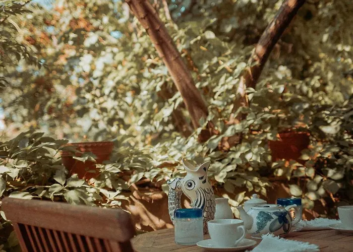 Casa San Rocco - Luxurious Grand 18th C. Palace With Gardens & Pool * Hal Ghaxiak